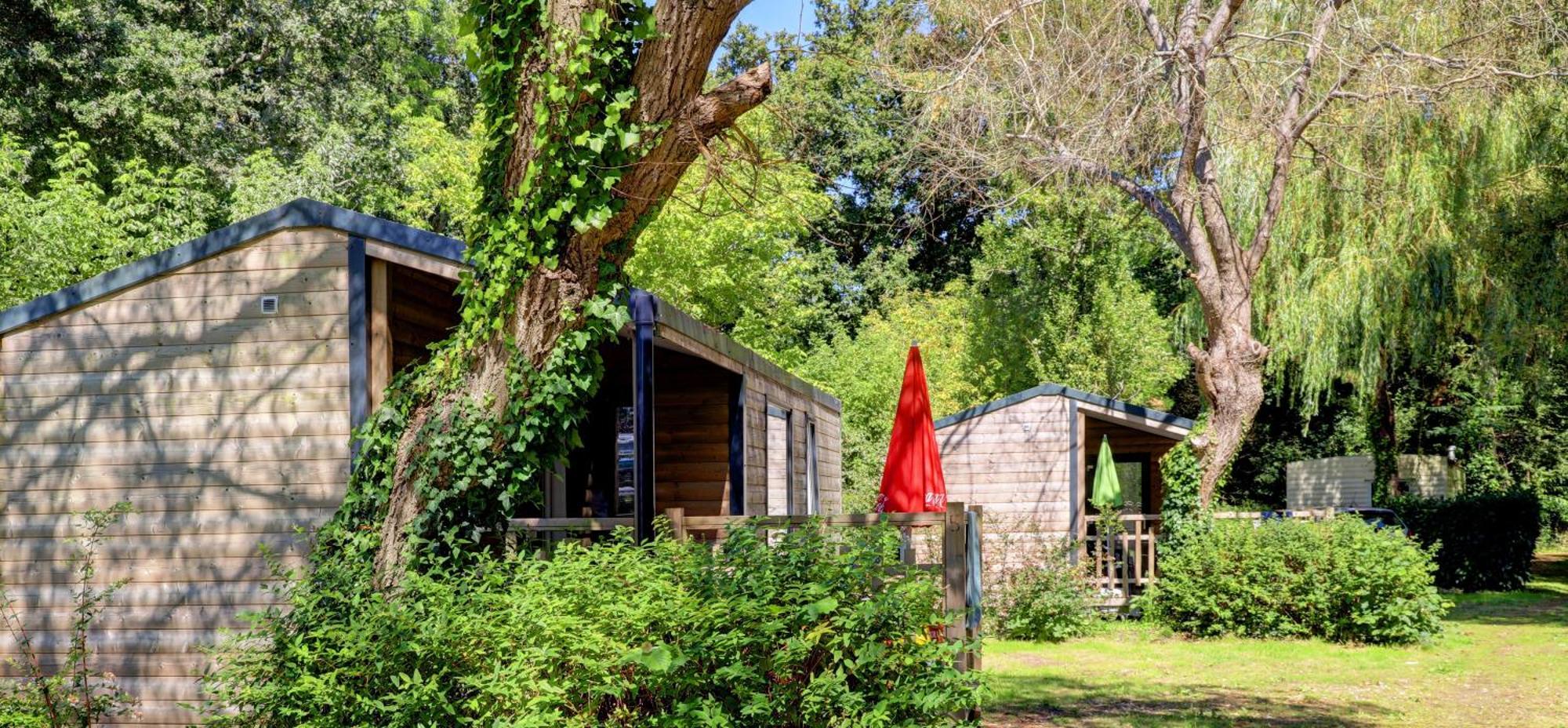 Camping De La Plage Benodet - 400 Metres De La Plage Exterior foto